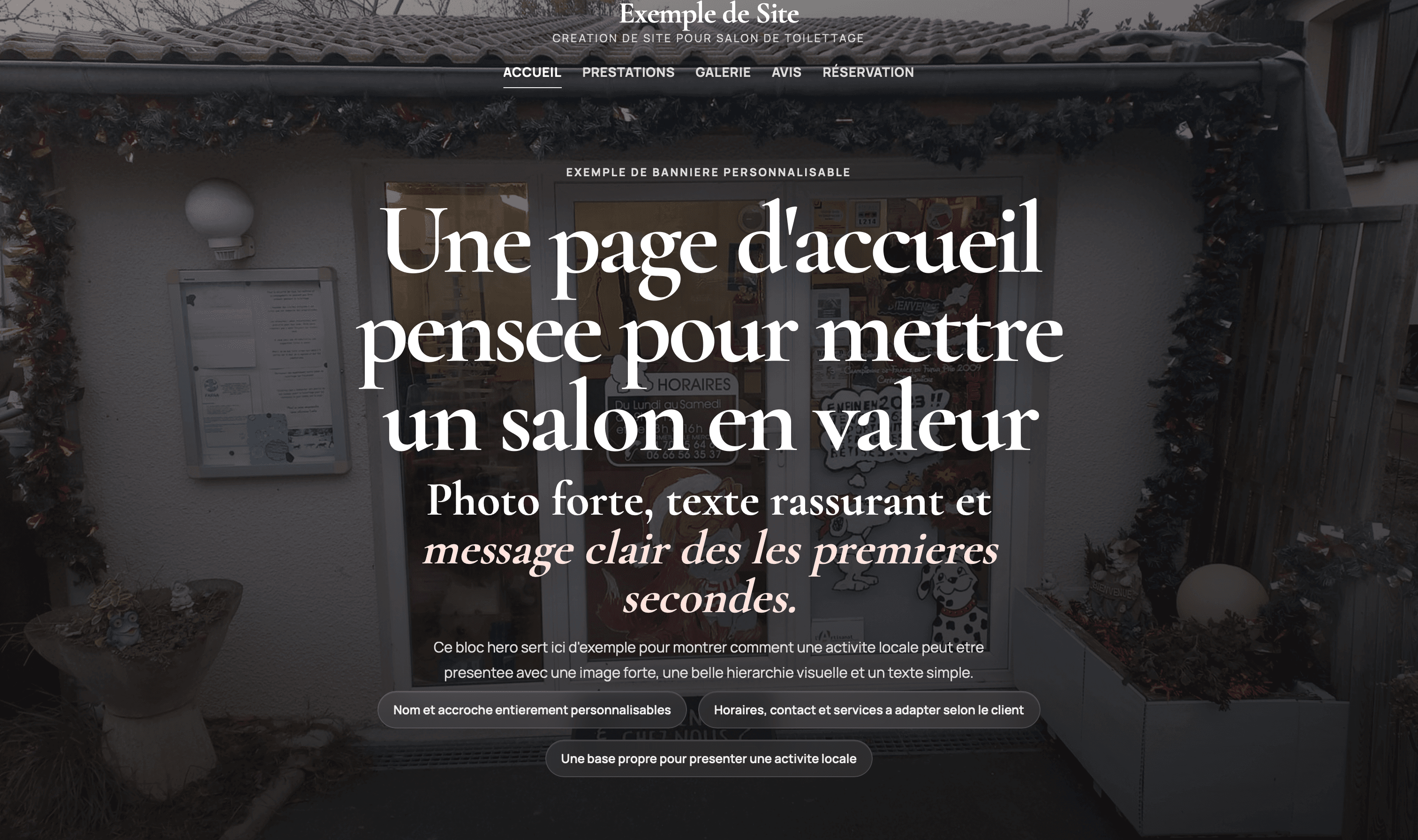 Exemple de bannière de site pour salon de toilettage